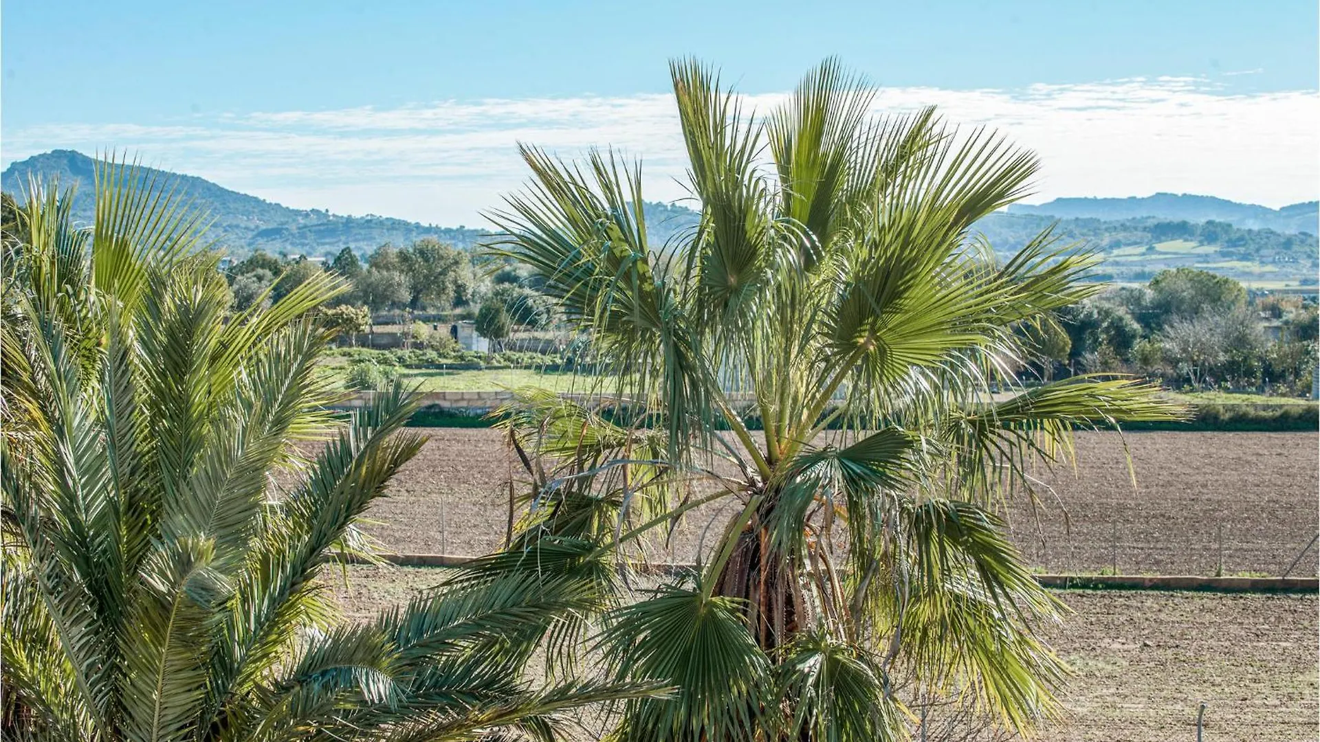Amazing Home In Manacor With Swimming Pool Сasa de vacaciones