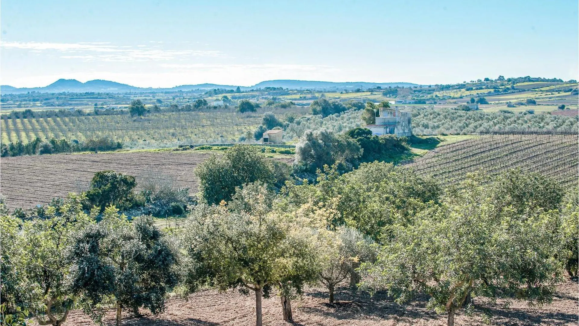 Amazing Home In Manacor With Swimming Pool